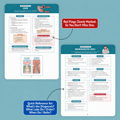 The Essential Family Nurse Practitioner Guide