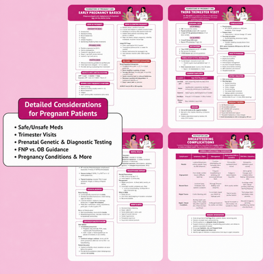 The Essential Family Nurse Practitioner Guide