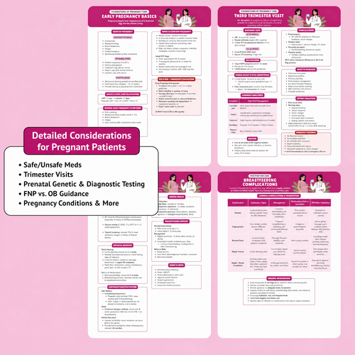 The Essential Family Nurse Practitioner Guide